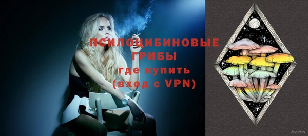 спайс Алексин