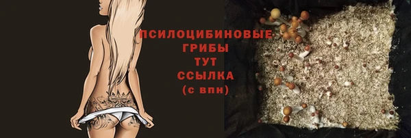 гидропоника Алексеевка