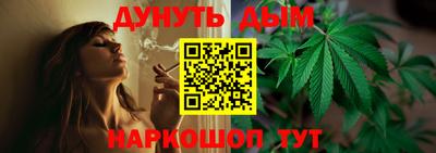 шишки Конаково