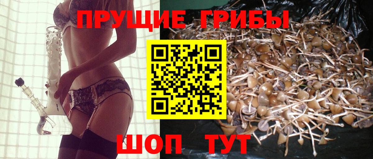 Дмитров  купить наркоту  Вход с VPN  Галлюциногенные грибы MAGIC MUSHROOMS 